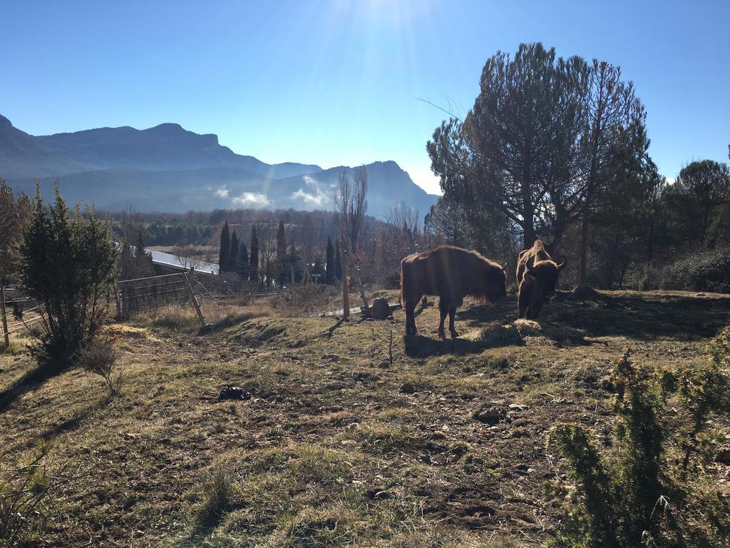 El Jou Nature Sant Corneli Екстер'єр фото