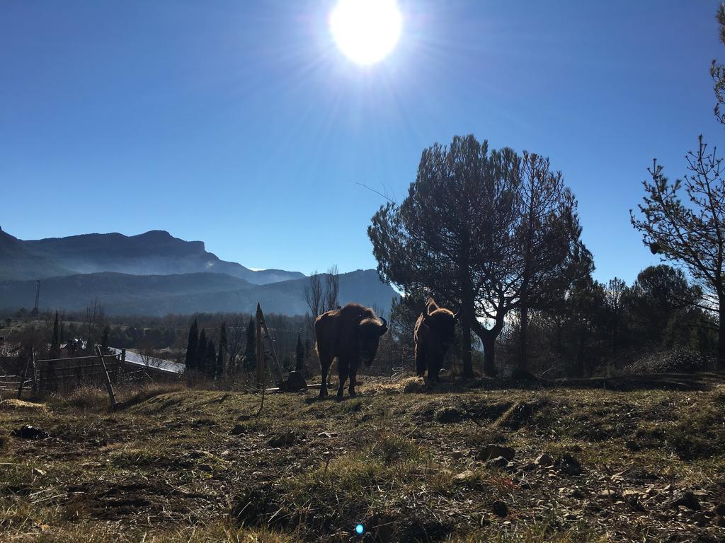 El Jou Nature Sant Corneli Екстер'єр фото
