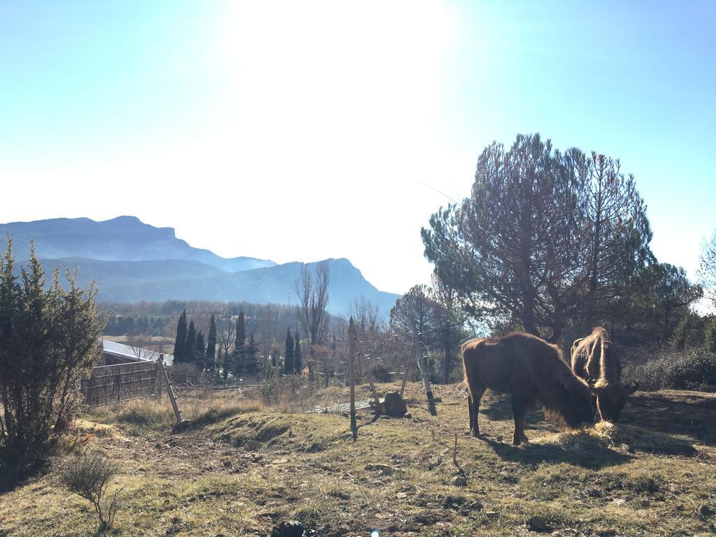 El Jou Nature Sant Corneli Екстер'єр фото