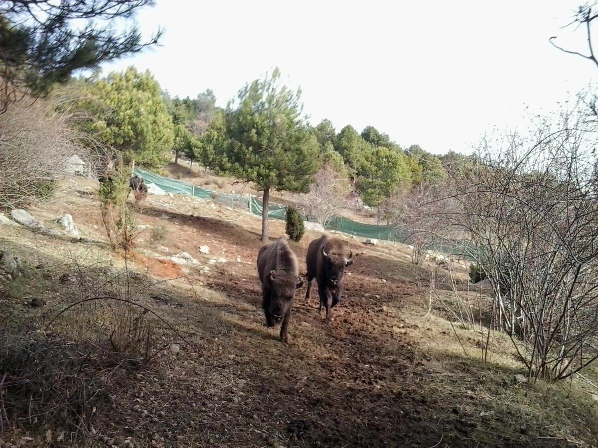 El Jou Nature Sant Corneli Екстер'єр фото